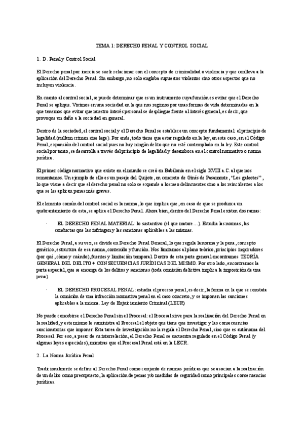 Miniatura del documento APUNTES-PENAL-1.pdf
