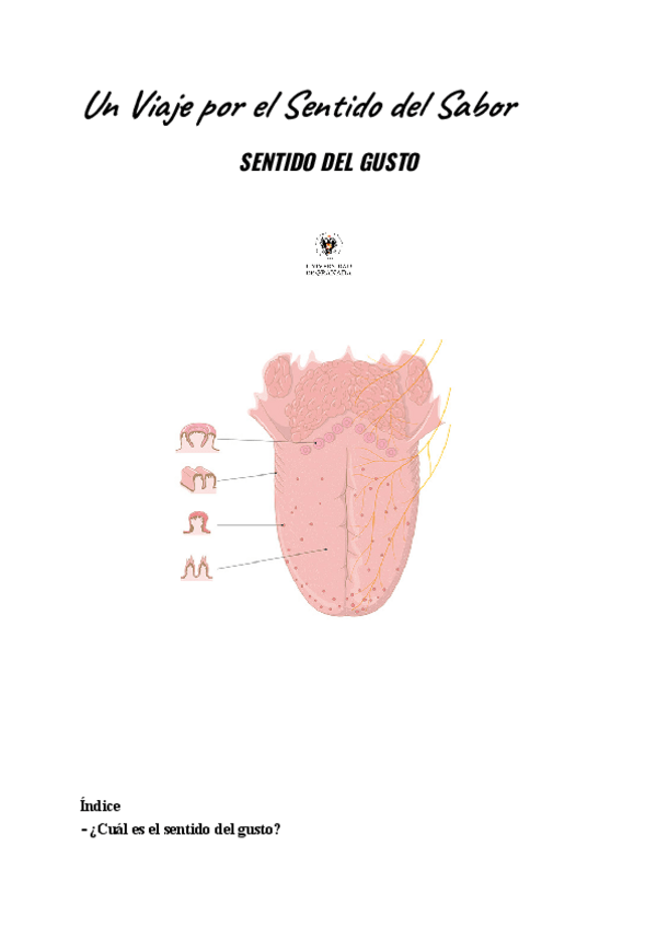 Miniatura del documento TRABAJO-SENTIDO-DEL-GUSTO-ANATOMIA.pdf