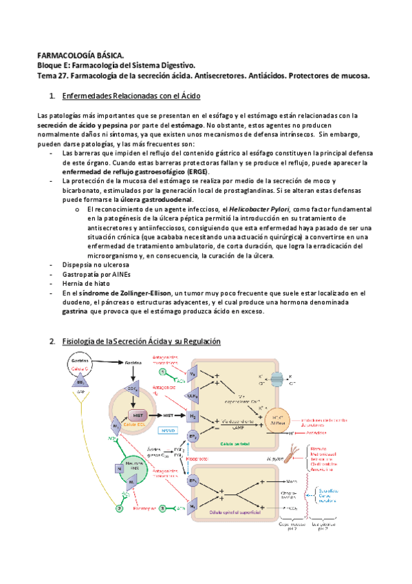 Miniatura del documento Tema-27-Farmacos-Antiulcerosos.pdf