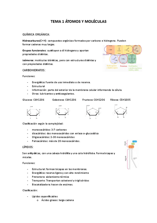 Miniatura del documento Tema-1-Resum.pdf