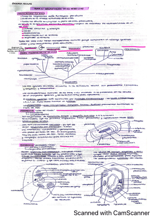 Miniatura del documento biologia-celular-teoria-ejercicios-y-test.pdf