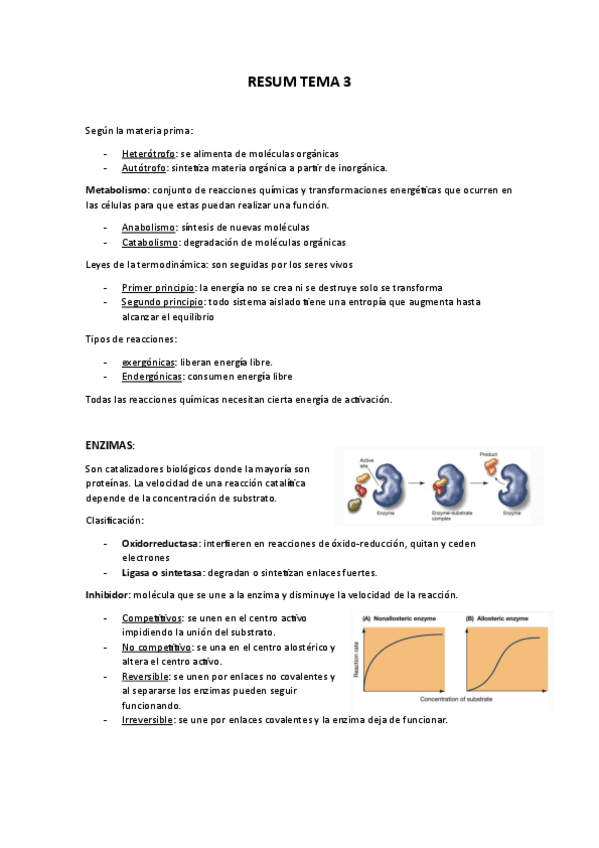 Miniatura del documento Resumen-tema-3-metabolisme.pdf