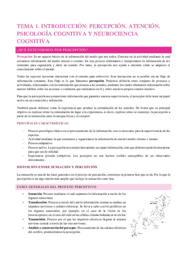 Miniatura del documento TEMA-1-percepcion-y-atencion.pdf