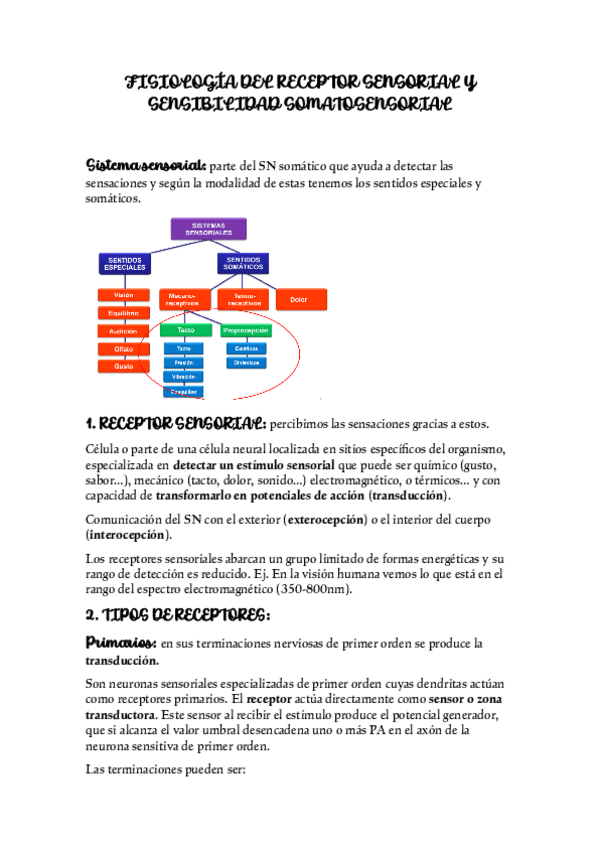 Miniatura del documento FISIOLOGIA-DEL-RECEPTOR-SENSORIAL-Y-SENSIBILIDAD-SOMATOSENSORIAL.pdf