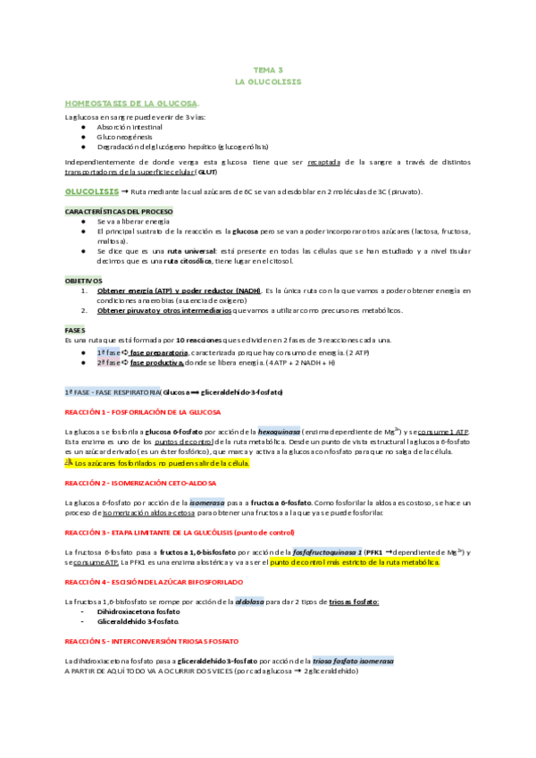 Miniatura del documento T3.-GLUCOLISIS COMPLETO.pdf