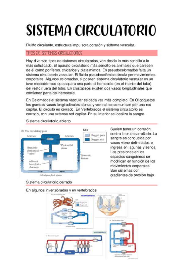 Miniatura del documento SISTEMA-CIRCULATORIO-primera-parte-apuntes-completos.pdf