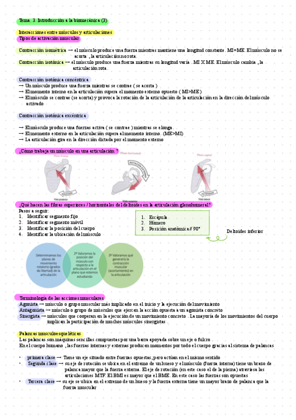 Miniatura del documento Tema-3.-Introduccion-A-La-Biomecanica-3.pdf