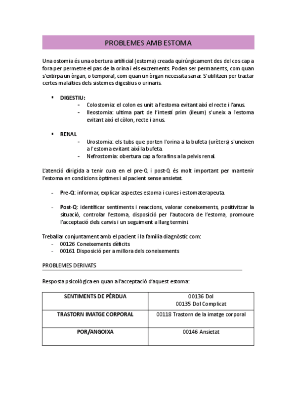 Miniatura del documento persones-amb-estoma.pdf