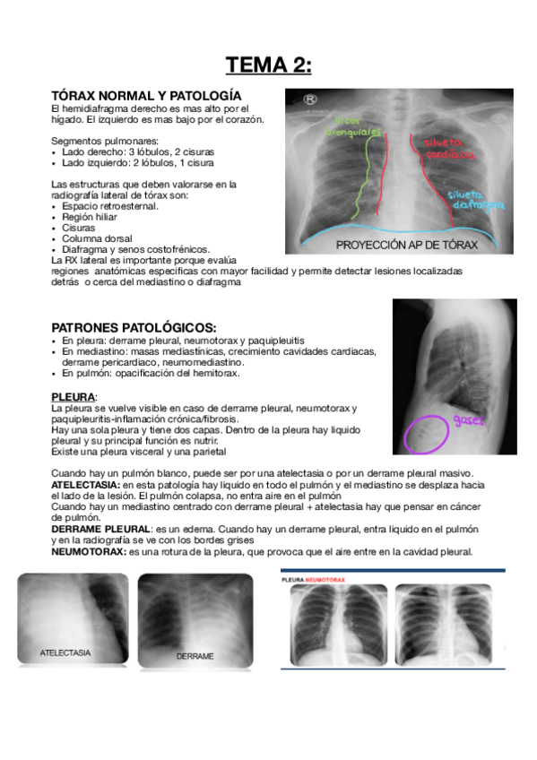 Miniatura del documento Tema-2.-Resumen.pdf