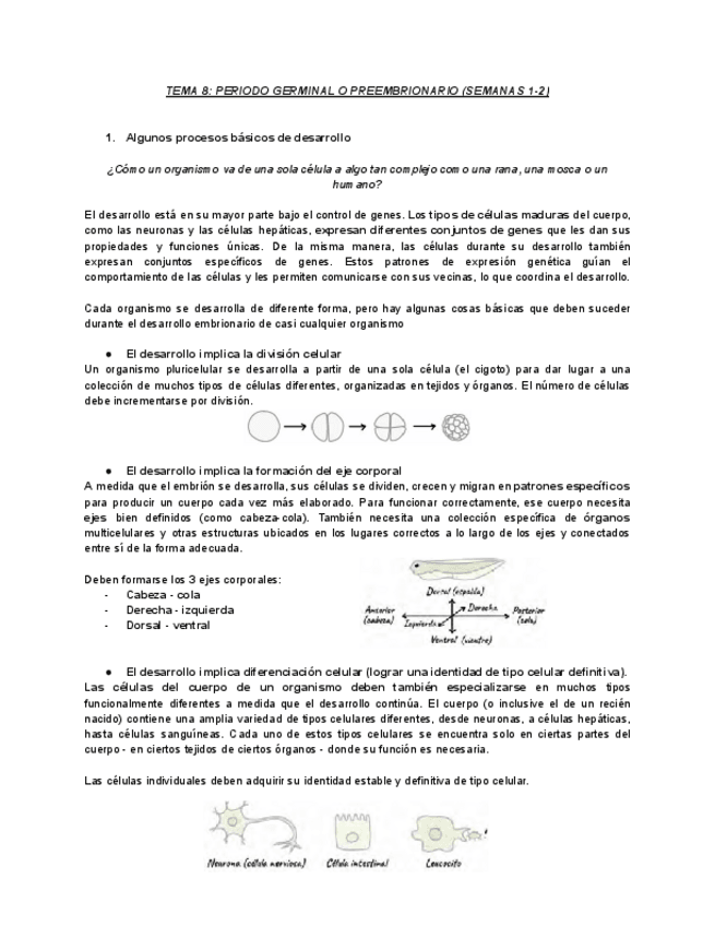 Miniatura del documento TEMA-8-PERIODO-GERMINAL-O-PREEMBRIONARIO-SEMANAS-1-2.pdf