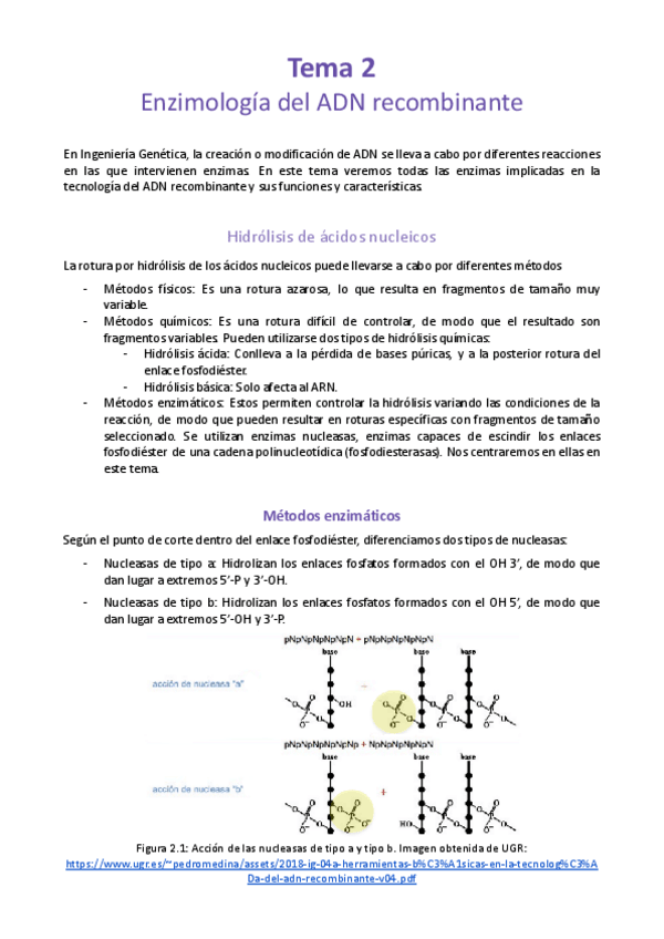 Miniatura del documento Tema-2-Enzimologia-del-ADN-recombinante.pdf