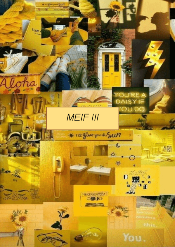 Miniatura del documento MEIF-III.pdf