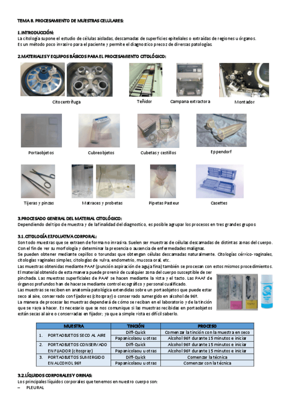 Miniatura del documento TEMA-8-PROCESAMIENTO.pdf