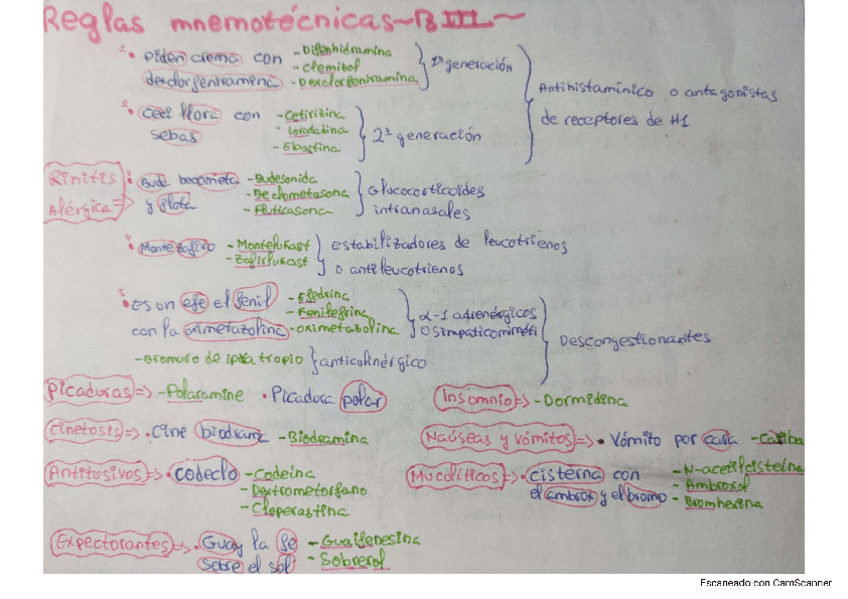 Miniatura del documento Reglas-mnemotecnicas.pdf