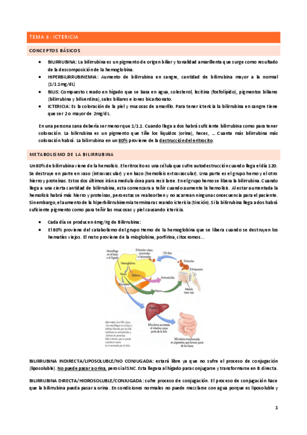 Miniatura del documento Tema-6.pdf