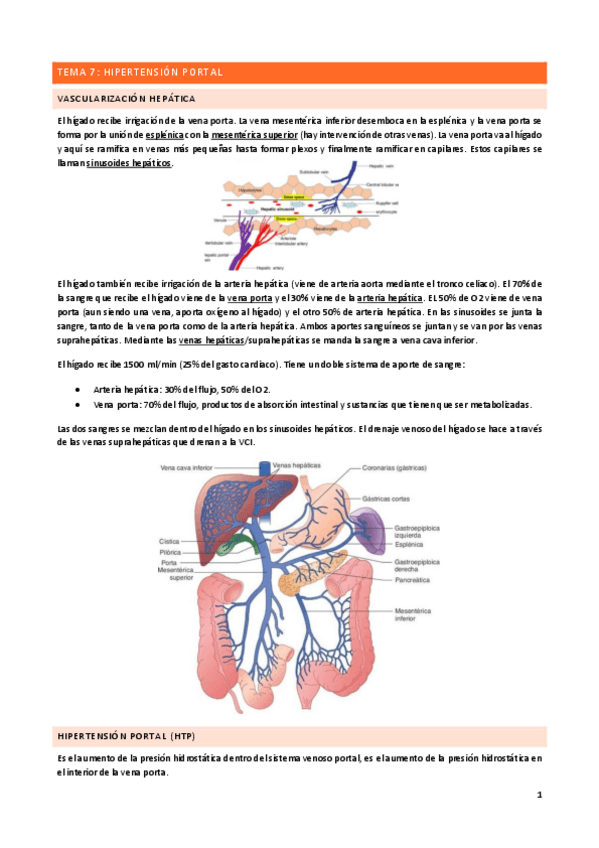 Miniatura del documento Tema-7.pdf