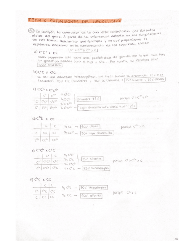 Miniatura del documento Problemas-Tema-8.pdf