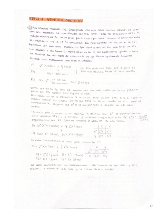 Miniatura del documento Problemas-Tema-9.pdf