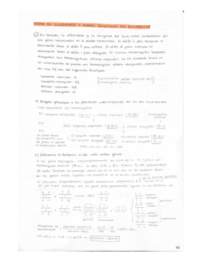 Miniatura del documento Problemas-Tema-10.pdf
