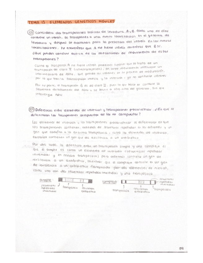 Miniatura del documento Problemas-Tema-13.pdf