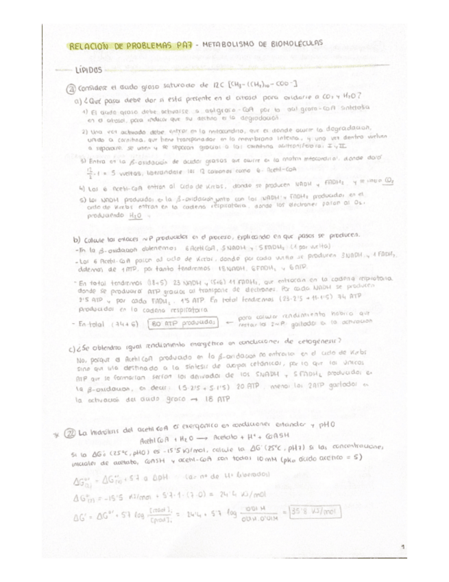 Miniatura del documento Practica-de-Aula-7.pdf