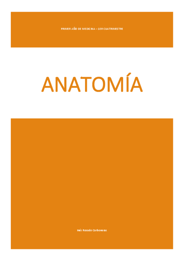 Miniatura del documento ANATOMIA.pdf