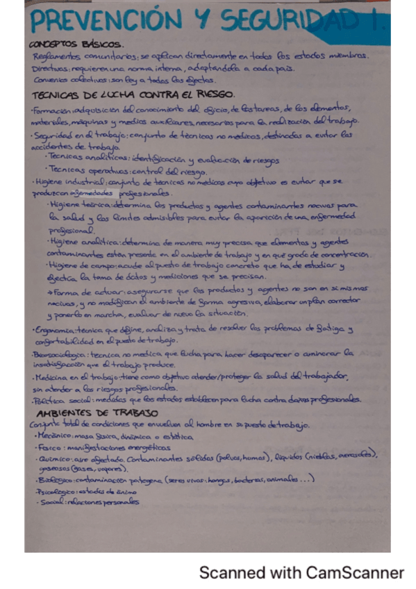 Miniatura del documento Apuntes-todo-Prevencion-y-Seguridad-1.pdf