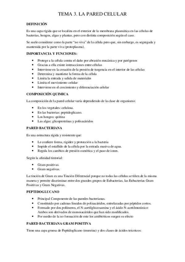 Miniatura del documento TEMA-3.-PARED.docx