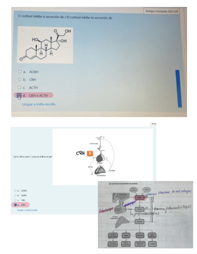 Miniatura del documento Examenes-Online-Costoya.pdf