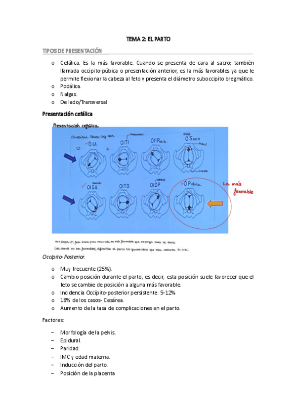 Miniatura del documento TEMA-2-FESC-III.pdf