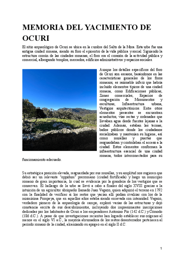 Miniatura del documento MEMORIA-DEL-YACIMIENTO-DE-OCURI.pdf