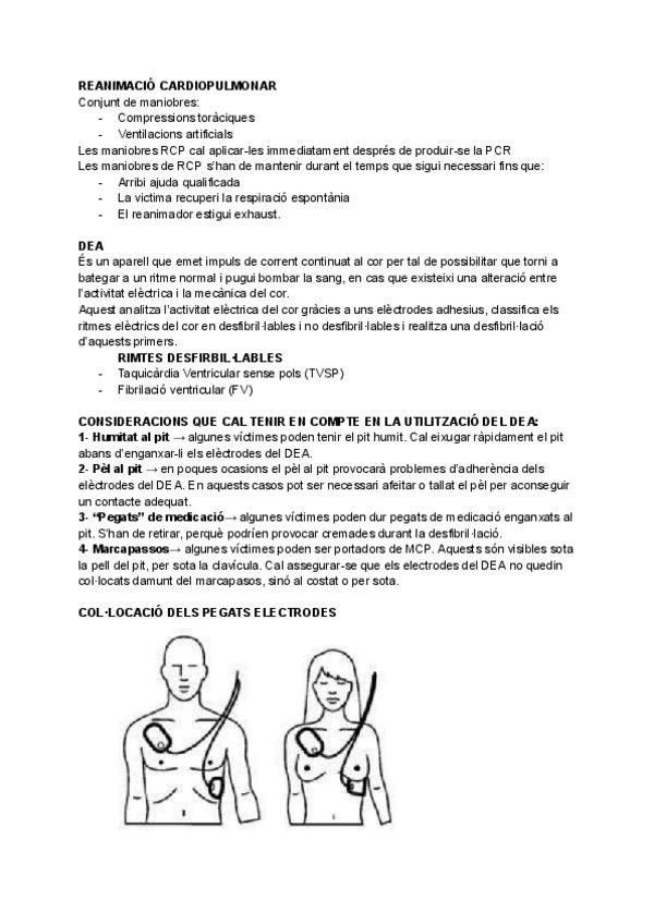 Miniatura del documento MP10-RCP-I-DEA.pdf