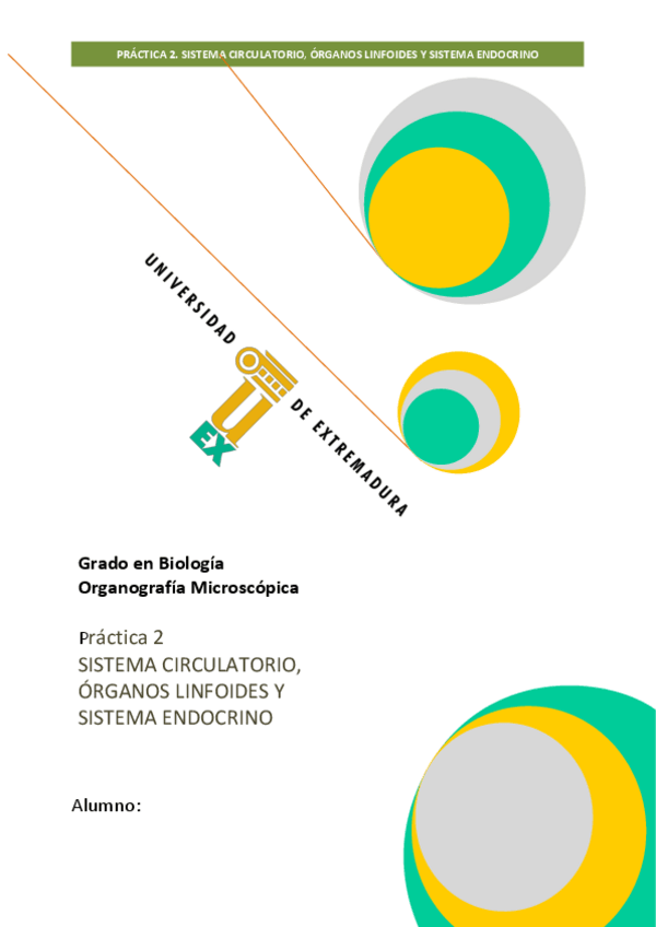Miniatura del documento Practica-2.pdf
