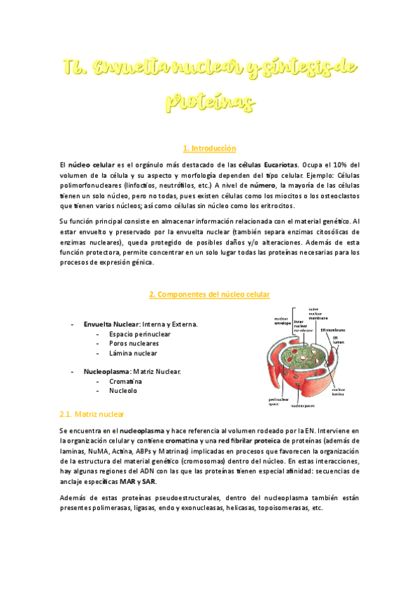 Miniatura del documento T6-Completo.pdf