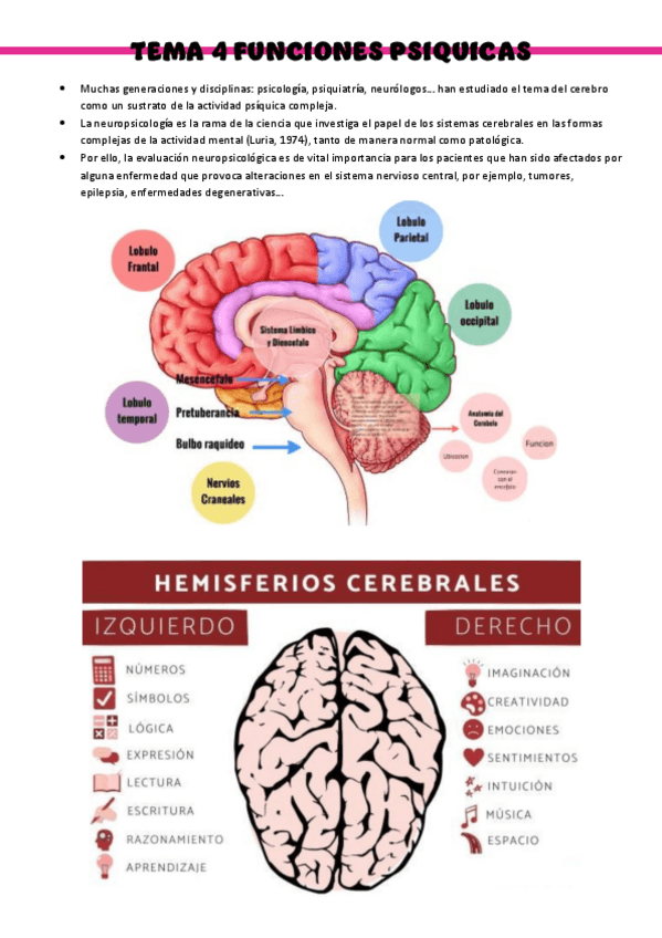 Miniatura del documento Psicologia-Tema-4.pdf