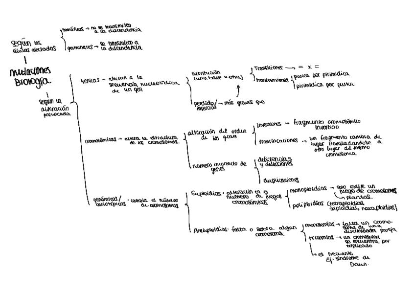 Miniatura del documento esquema-mutaciones.pdf