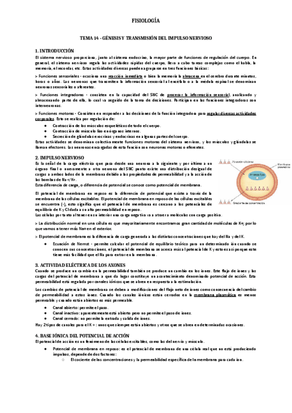 Miniatura del documento Tema 14.pdf