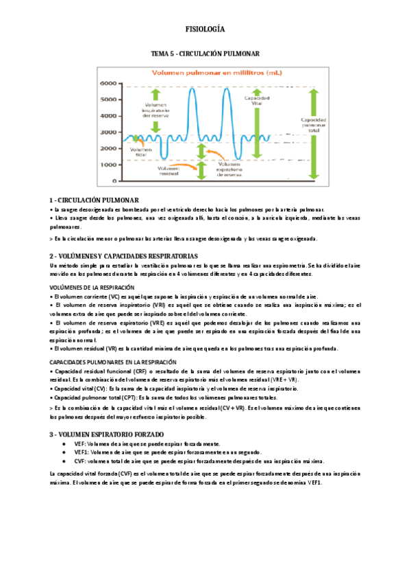 Miniatura del documento Tema 5.pdf