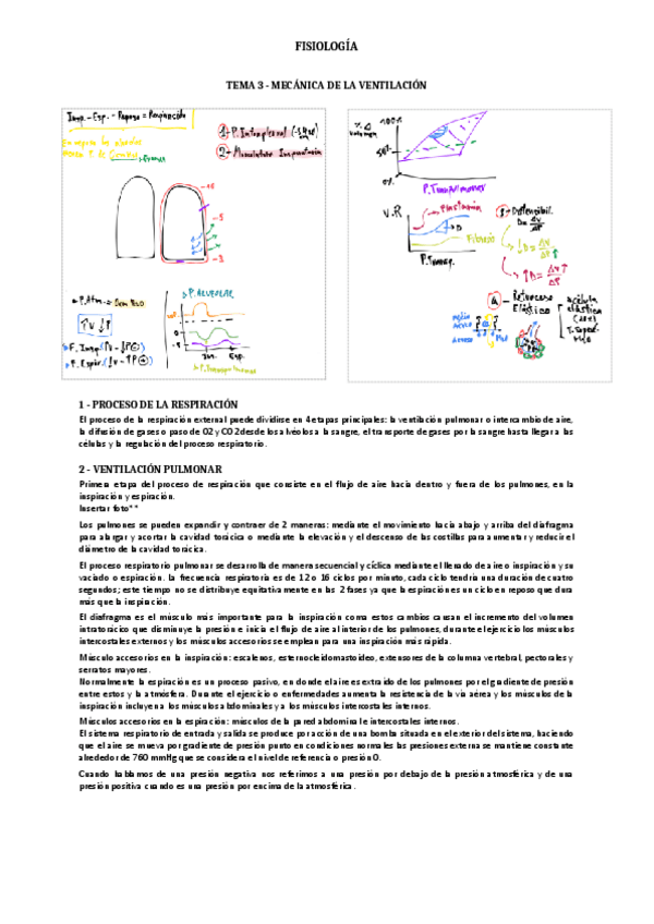 Miniatura del documento Tema 3.pdf
