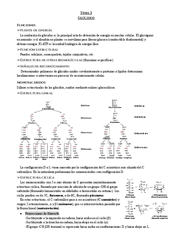 Miniatura del documento Tema-3-Bq.pdf