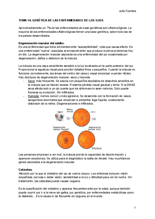 Miniatura del documento 14. Genética de las enfermedades de los ojos.pdf