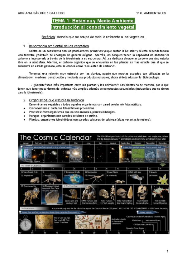 Miniatura del documento Temas-1-Botanica-y-M.A-y-2-Niveles-de-organizacion.pdf