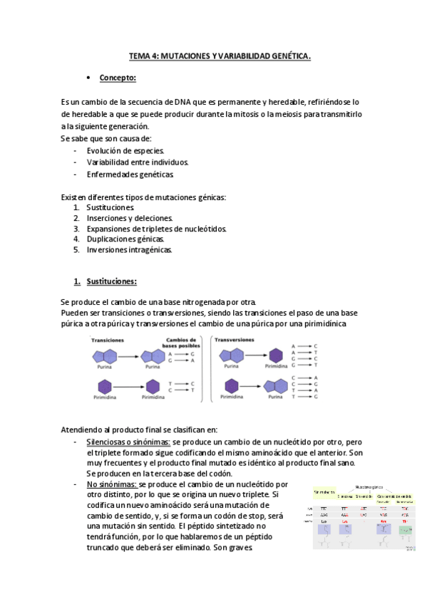 Miniatura del documento TEMA-4.pdf