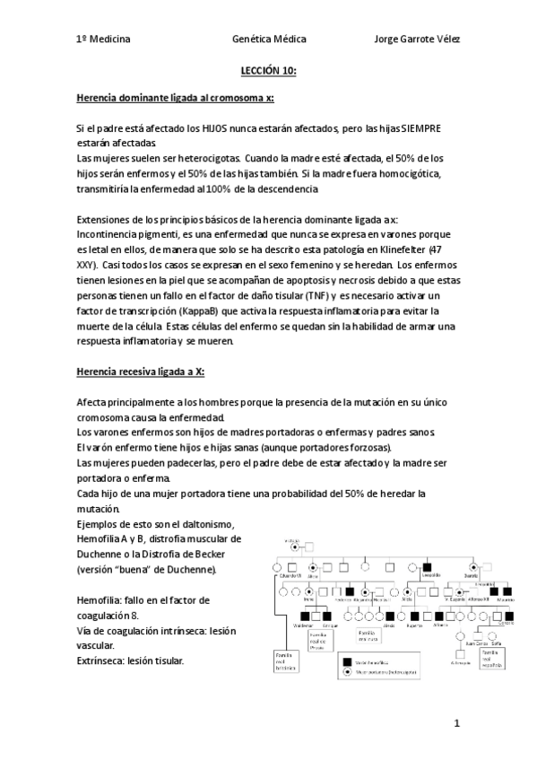 Miniatura del documento TEMA-10.pdf