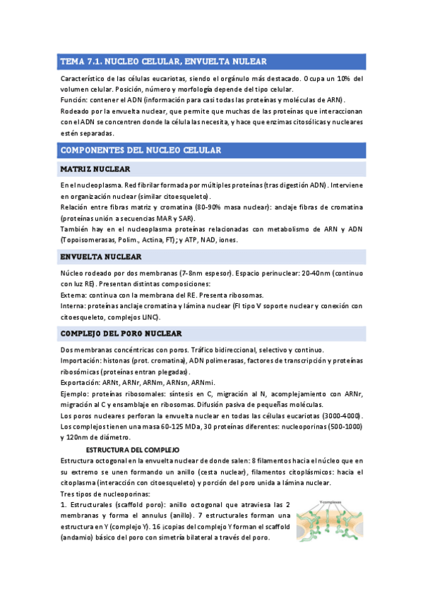 Miniatura del documento TEMA 7 BIOLOGIA CELULAR.pdf