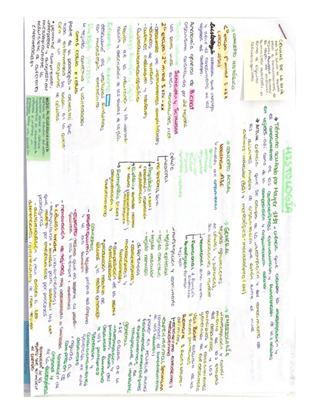 Miniatura del documento Histologia-esquemas.pdf