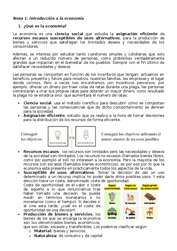 Miniatura del documento Tema-1.docx