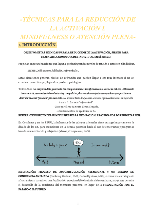 Miniatura del documento 6.-Tecnicas-de-control-de-activacion-I..pdf
