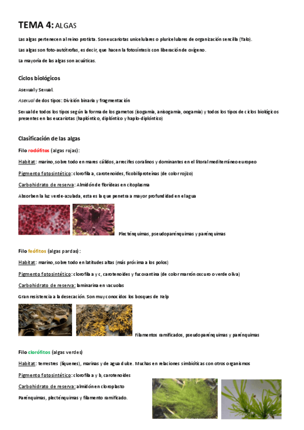Miniatura del documento TEMA-4-Algas.pdf