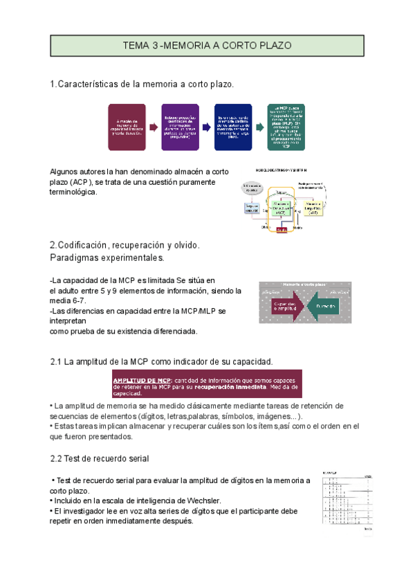 Miniatura del documento TEMA-3-MEMORIA-A-CORTO-PLAZO.pdf